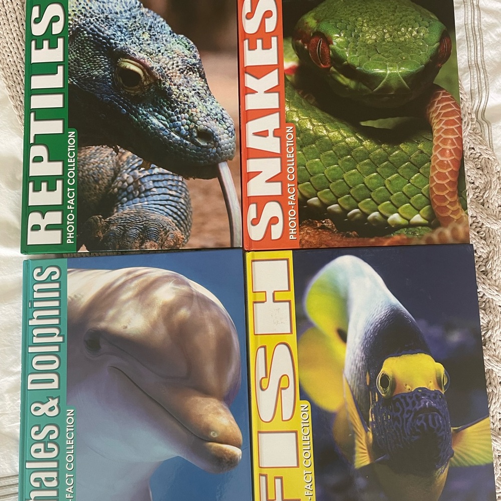 Kids Animal Zoo Hardcover Book Bundle